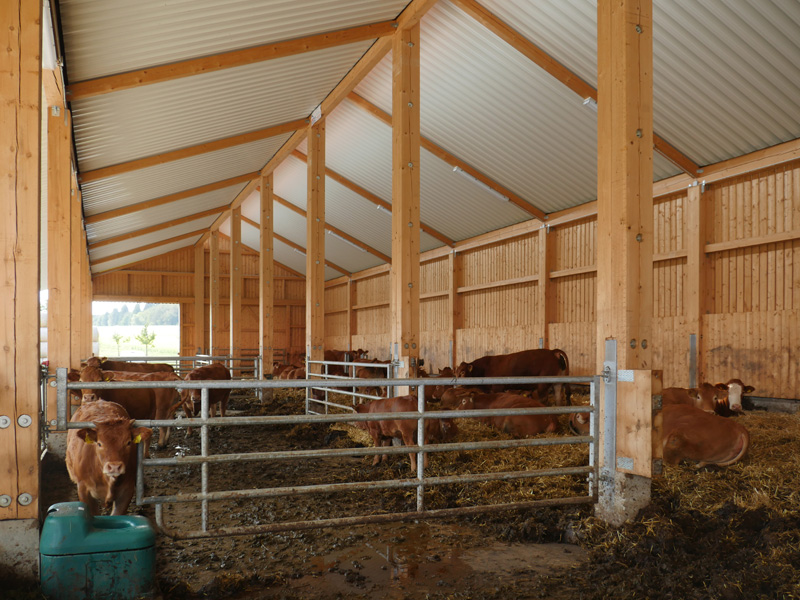 mutterkuhstall-planen-bauen-einrichten-iryrk